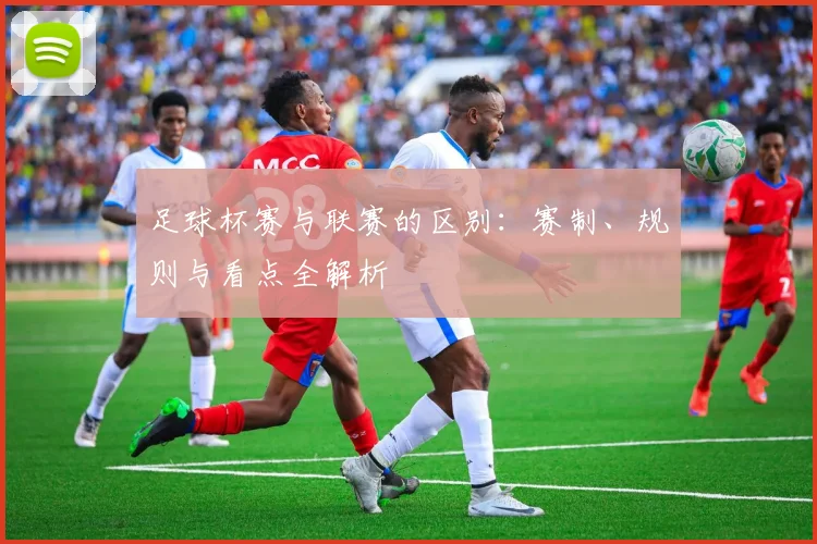 足球杯赛与联赛的区别：赛制、规则与看点全解析
